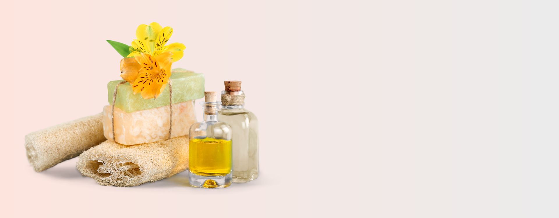 Reevo Fragrance