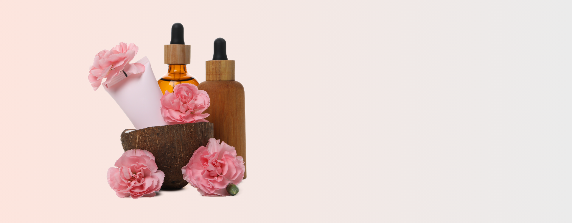 Reevo Fragrance